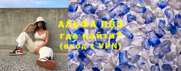 прущие грибы Абинск