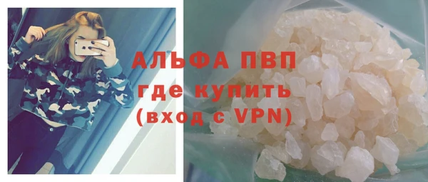 прущие грибы Абинск