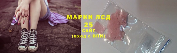 прущие грибы Абинск