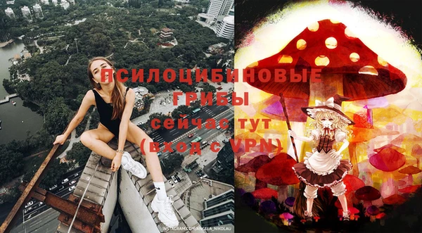 МДПВ Абаза
